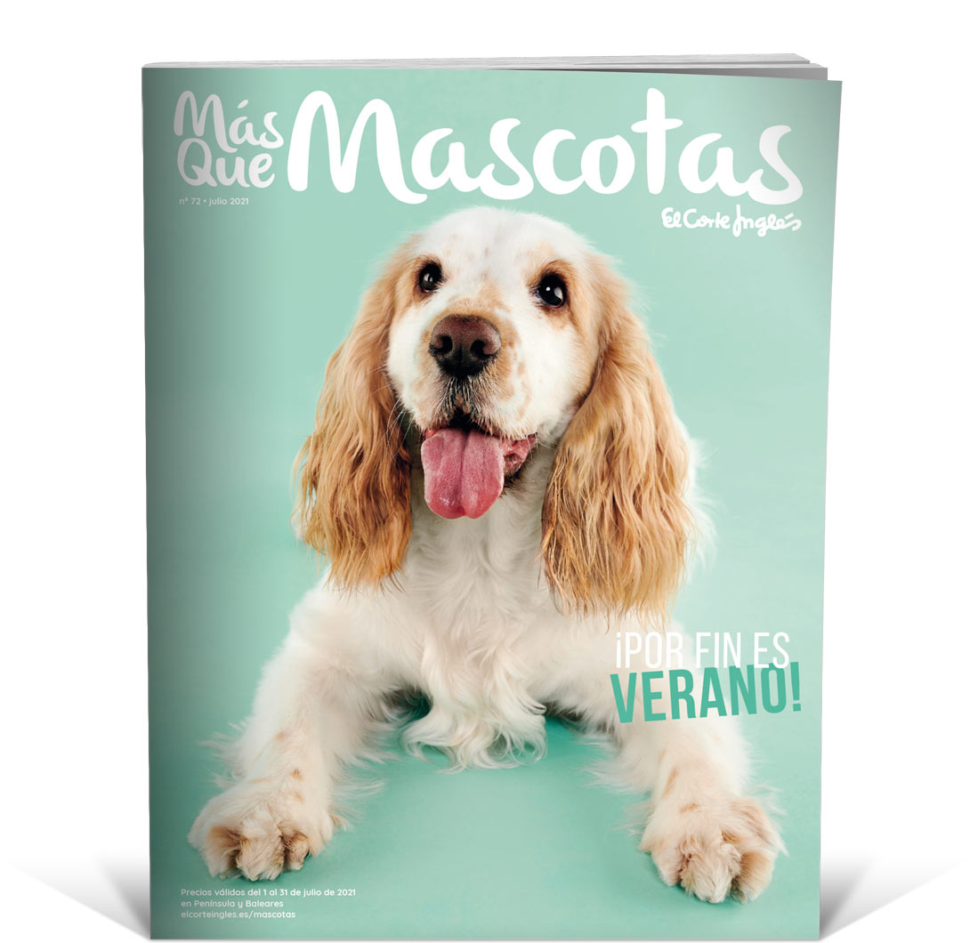 Catalogos Mas Que Mascotas
